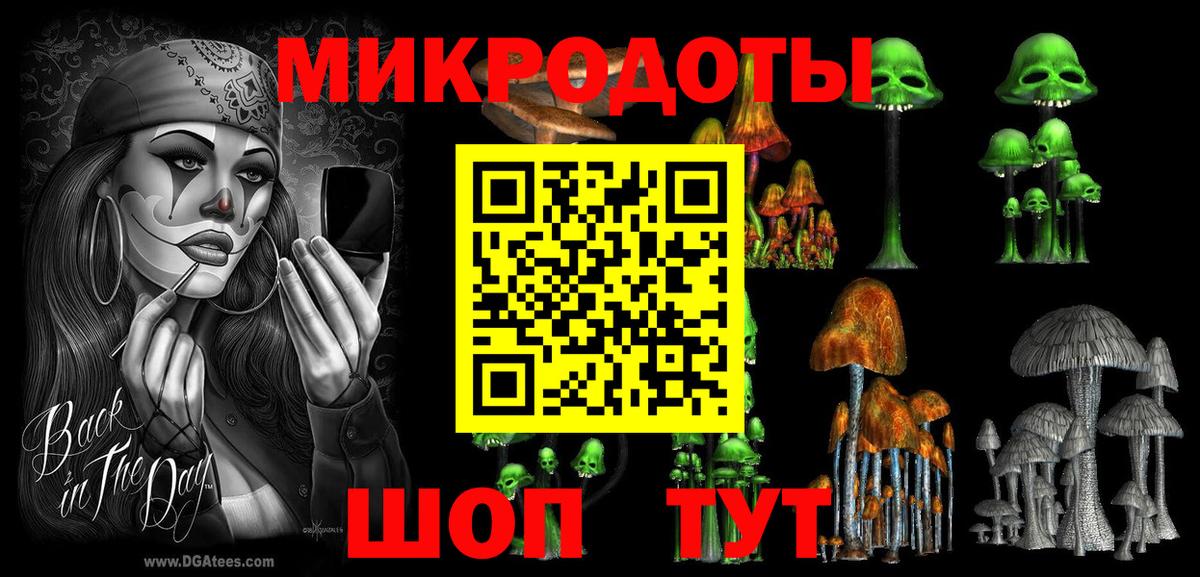 Псилоцибиновые грибы Psilocybe Кушва