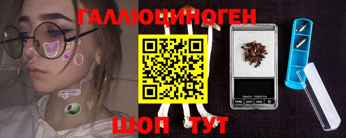 Кушва  Псилоцибиновые грибы Psilocybine cubensis  Вход с VPN 